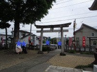 IMG_8097 - R